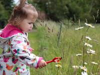 Save the date for next year's Open Farm Sunday