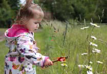 Save the date for next year's Open Farm Sunday