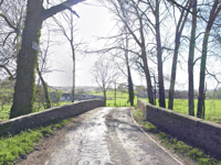 Temporary Mill Farm Bridge to be installed in Grosmont 