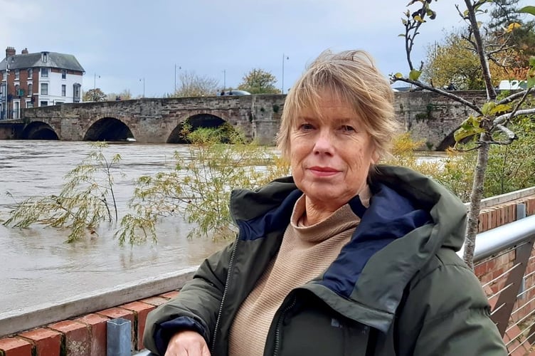 Coun Diana Toynbee has been suspended from representing the Green Party on Herefordshire Council