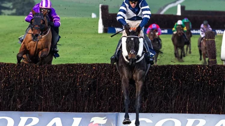 Jubilee Express puts down National marker at Xmas race day ...