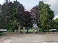Landmark Bailey Park tree to be felled