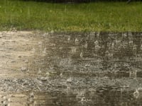 The Editor Writes: Rain, rain go away...