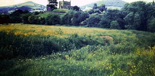 
Day two of the slightly portly Chronicle Xmas Quiz 