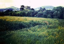 Day two of the slightly portly Chronicle Xmas Quiz