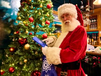 Survey reveals the biggest Christmas 'emergencies'