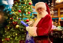 Survey reveals the biggest Christmas 'emergencies'