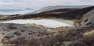 Blaenavon takes the time to plant a capsule! 

