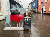 Hunting for reindeer in Abergavenny town centre!