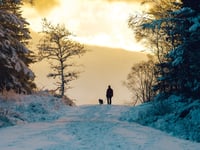 Heading outdoors this Christmas? Ten countryside tips to know