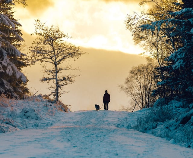 Heading outdoors this Christmas? Ten countryside tips to know