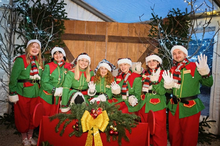 St Michael's Hospice Christmas 