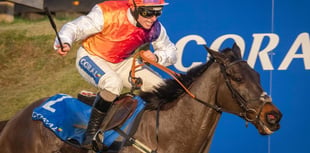 County's racecourse seeks support for Centenary Day