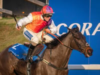 County's racecourse seeks support for Centenary Day