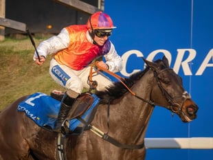 County's racecourse seeks support for Centenary Day