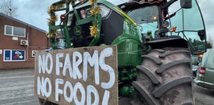 Welsh Lib Dems demand tax repeal