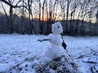 Abergavenny hosts the world’s smallest snowman competition 