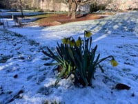 
Abergavenny buried beneath a light dusting of snow!