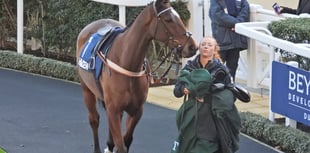 Steel Ally provides festive filip for Sam