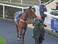Steel Ally provides festive filip for Sam