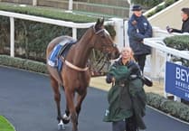 Steel Ally provides festive filip for Sam