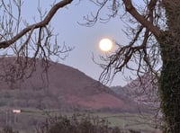 
Amateur photographer claims moon landings were fake! 