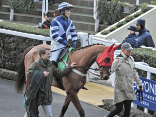 Sam's favourite well beaten in Festival warm-up