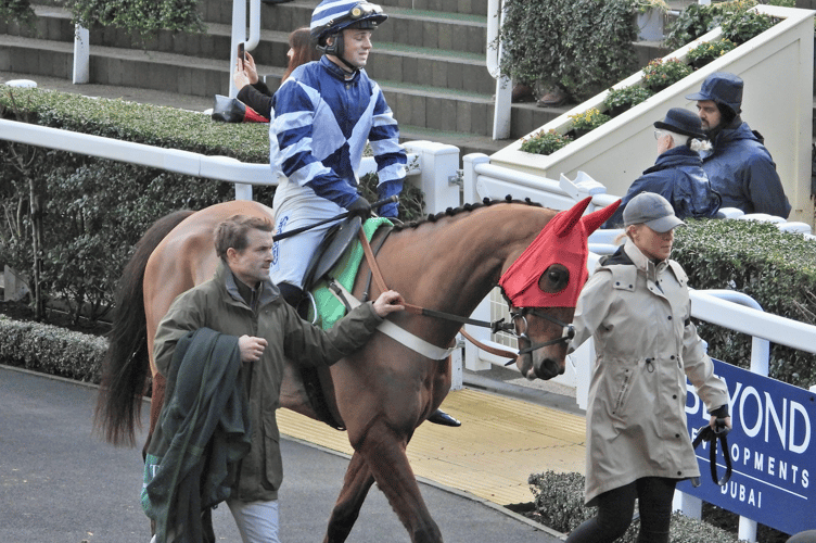 Vincenzo struggled home fifth in the Greatwood Gold Cup Handicap. Photo: South West Racing Club