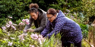 You can trust the Green Man to help! 
