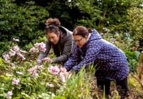 You can trust the Green Man to help!