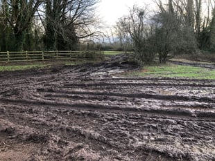 Council promises to reinstate damaged land on Meadows