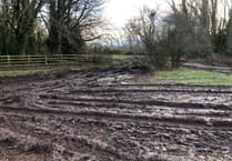 A 'churn up' for the books as meadows turned into swamp after tree felling