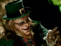 
Abergavenny man claims he woke up in a lair of leprechauns! 
