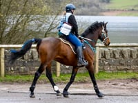 Talybont endurance ride sells out in under an hour