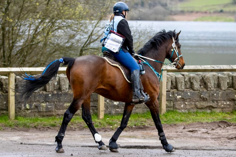 Kirsty Wiscombe riding in the Talybont endurance ride