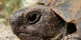 
Abergavenny man urges people to be the change they want to see 
