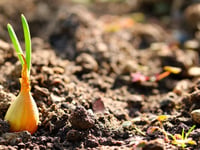 Powys garden waste collection opens
