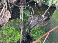 
What does this picture reveal about your personality type? 