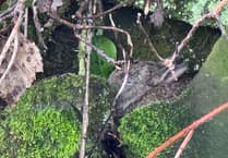 What does this picture reveal about your personality type?