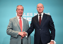 Wales Reform leader steps down after assault arrest