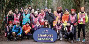 Freddy and Kofi set new canicross parkrun record