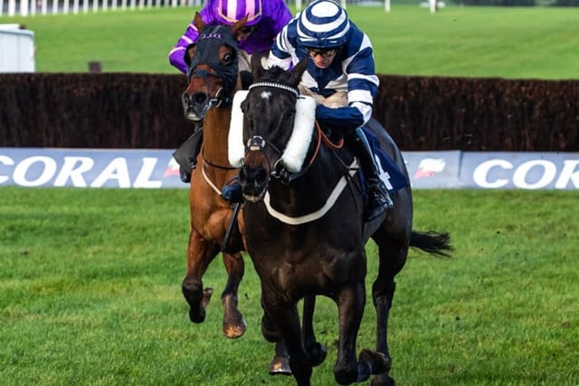 Jubilee Express kicks on from Welsh National blow in Devon National 