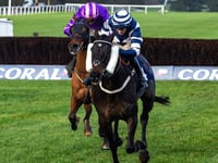 Jubilee Express kicks on from Welsh National blow in Devon National 