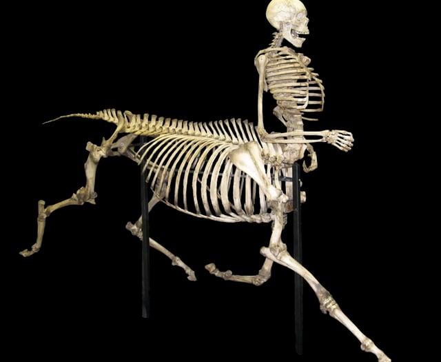 
Abergavenny man claims he met a real-life centaur 