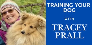 Training your dog with Tracey Prall 