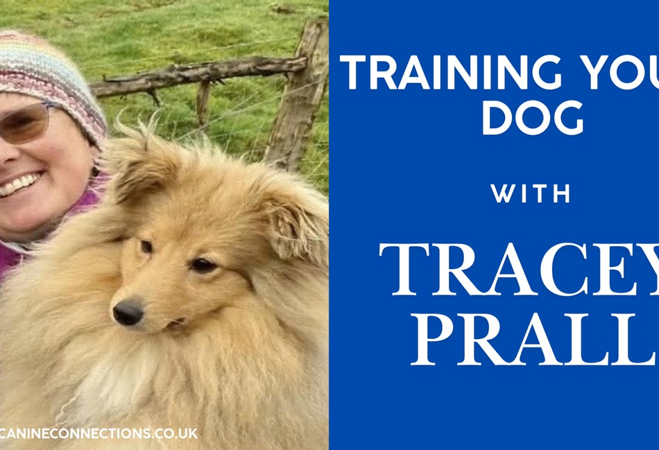 Training your dog with Tracey Prall 