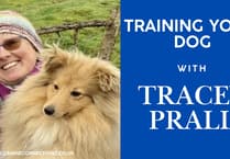 Training your dog with Tracey Prall - learning the drop cue