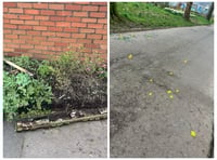 'Nip it in the bud' says Chronicle reader