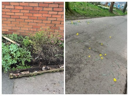 Vandalism of green spaces in Abergavenny