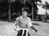 
Abergavenny man claims he was attacked by kung-fu fighting robots!